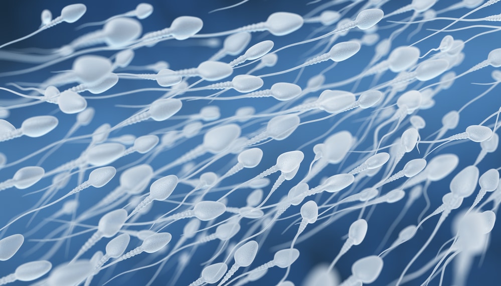 O espermograma é um exame que pode ajudar muito o homem que deseja ter filhos em curto prazo